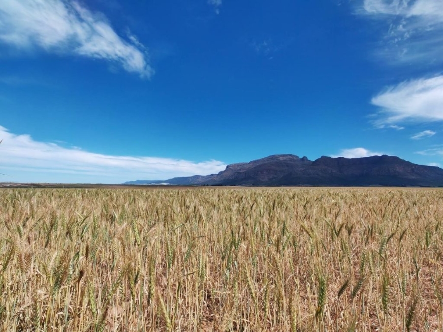 3 Bedroom Property for Sale in Eendekuil Western Cape